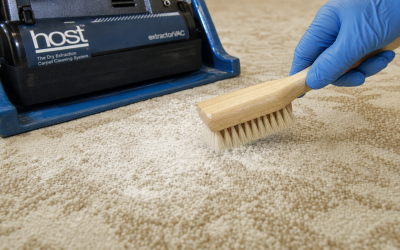 Choosing Host Dry Carpet Cleaning: Questions to Ask Before You Decide